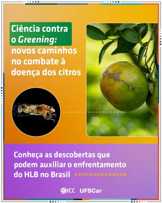 Ciência busca soluções na Natureza para proteger citros do greening 1.jpeg Ciência busca soluções na Natureza para proteger citros do greening 1.jpeg