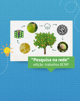 Compostos naturais de plantas inibem bactéria do cancro cítrico