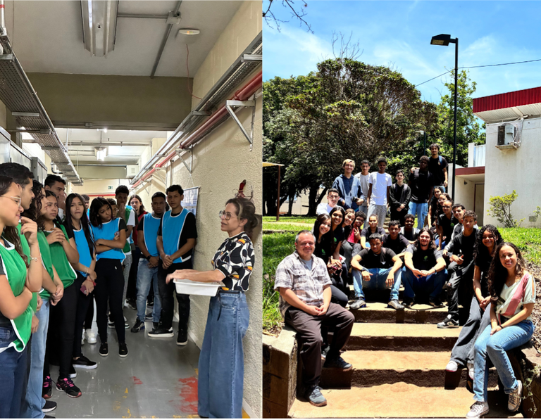 Design sem nome (3).png